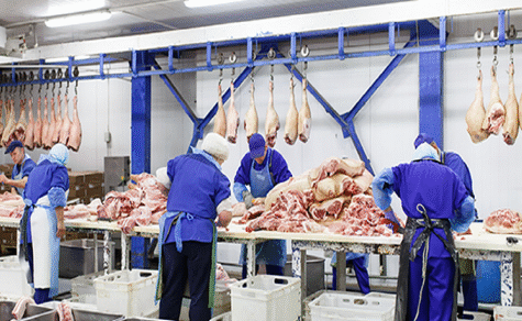 [resize][resize]highland-detial